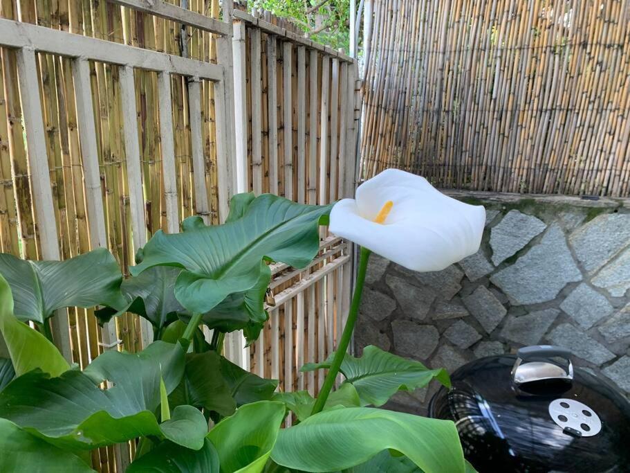 Dimaru Apartment Gragnano Luaran gambar